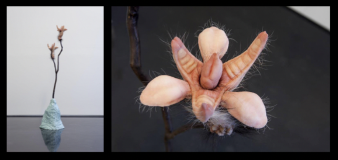 <p>Patricia Piccinini, Metaflora, 2015.</p>