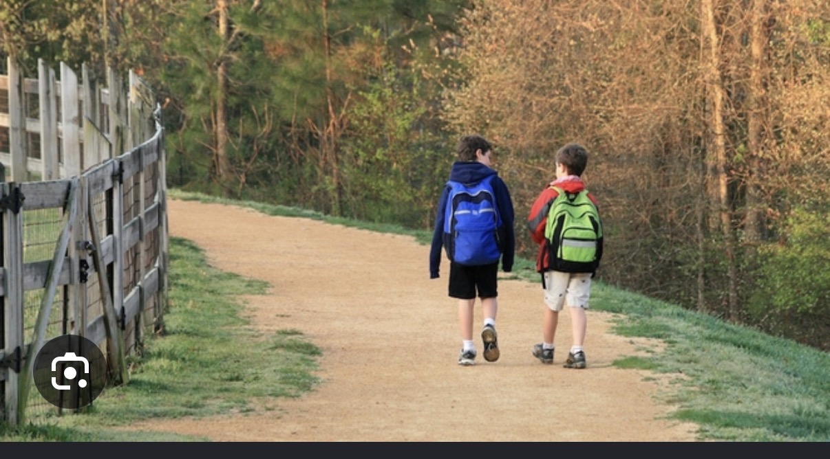 <p>Walk around </p>