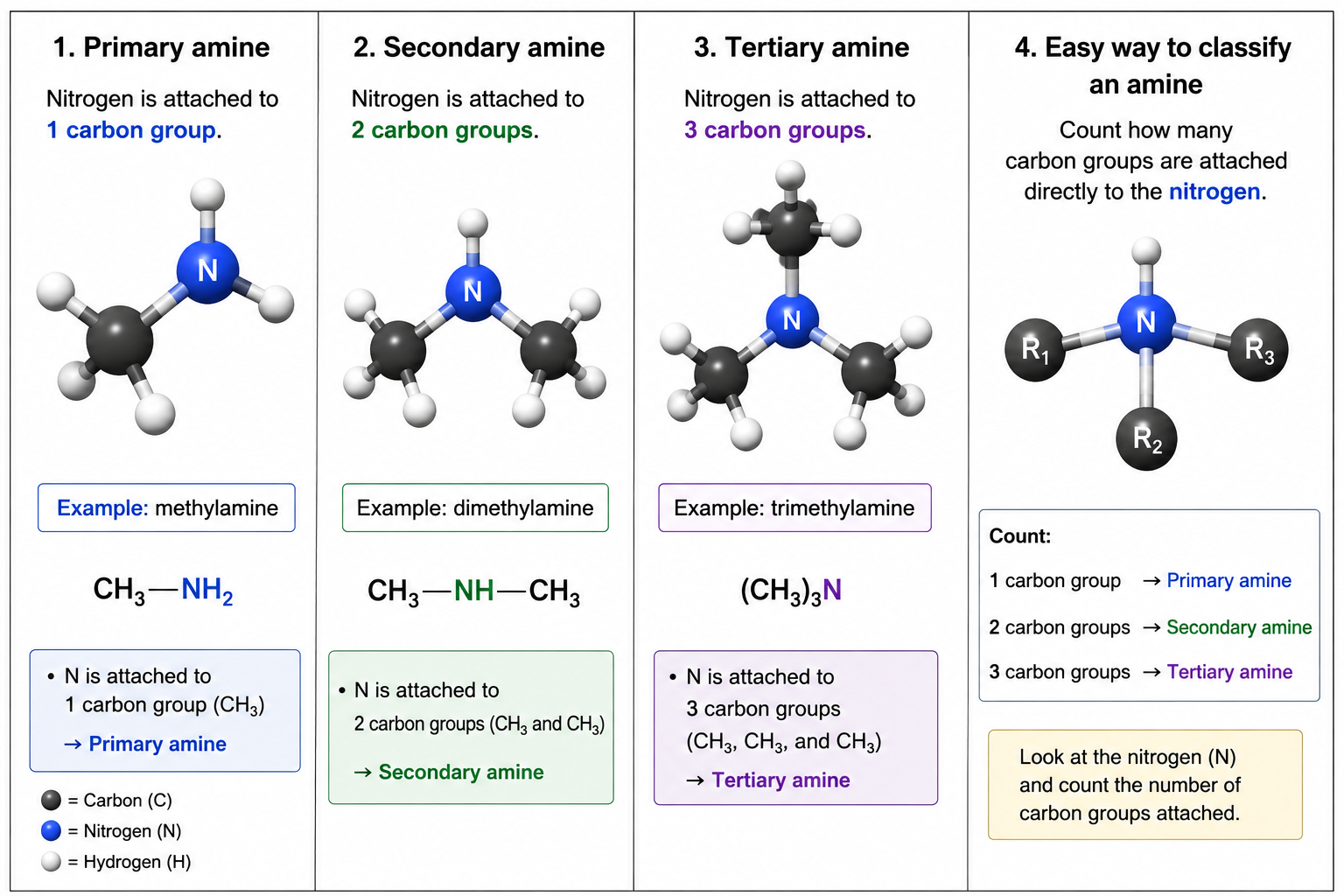 <p>Look at the <strong>nitrogen (N)</strong> and count how many <strong>carbon groups are directly attached to it</strong>.</p><p><strong>1 = Primary</strong><br><strong>2 = Secondary</strong><br><strong>3 = Tertiary</strong> <span data-name="check_mark_button" data-type="emoji">✅</span>N is attached to <strong>1 carbon group</strong>: CH₃</p><ul><li><p>So it is a <strong>primary amine</strong> <span data-name="check_mark_button" data-type="emoji">✅</span></p></li></ul><p>Another:</p><p><strong>CH₃–NH–CH₃</strong></p><ul><li><p>N is attached to <strong>2 carbon groups</strong></p></li><li><p>So it is a <strong>secondary amine</strong> <span data-name="check_mark_button" data-type="emoji">✅</span></p></li></ul><p>And:</p><p><strong>(CH₃)₃N</strong></p><ul><li><p>N is attached to <strong>3 carbon groups</strong></p></li><li><p>So it is a <strong>tertiary amine</strong> <span data-name="check_mark_button" data-type="emoji">✅</span></p></li></ul><p></p>