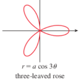 <p>three-leaved rose</p>