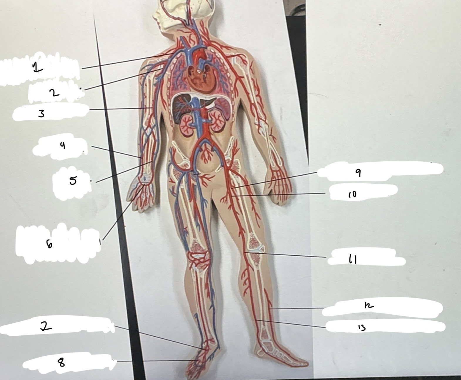 <p>1.XX</p><p>2.XX</p><p>3.XX</p><p>4.XX</p><p>5.XX</p><p>6.XX</p><p>7.XX</p><p>8.XX</p><p>9.XX</p><p>10.XX</p><p>11.XX</p><p>12.XX</p><p>13.XX</p>