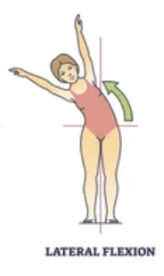 <p>bending of the neck or body toward the right or left side</p>