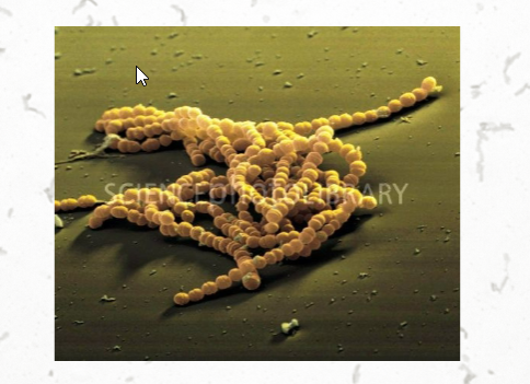 term image