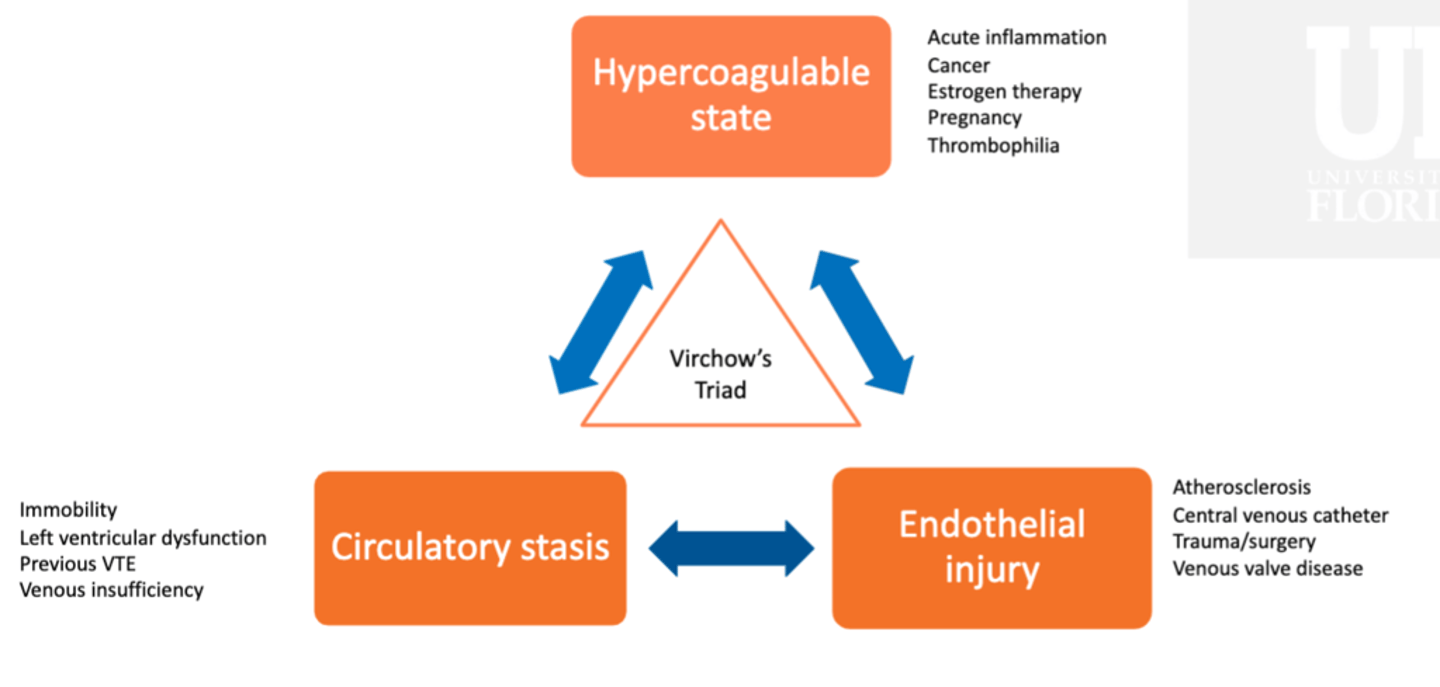 <p>1. Circulating factors/Hypercoagulable state</p><p>2. Blood Flow/ Circulatory Stasis</p><p>3. Vessel integrity/Endothelial Injury</p><p>Hemostasis a balance between these three</p>