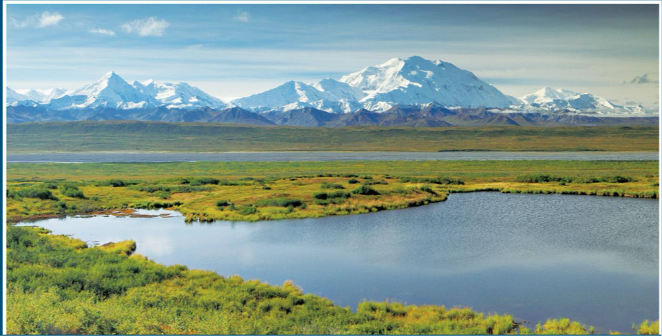 <ul><li><p>cold, dry, short growing season </p></li><li><p>no trees </p></li><li><p>permafrost (frozen soil → releases greenhouse gases when melted) </p></li><li><p>plants: grasses, shrubs </p></li><li><p>animals: polar bears, foxes, birds, mosquitoes </p></li></ul><p></p>