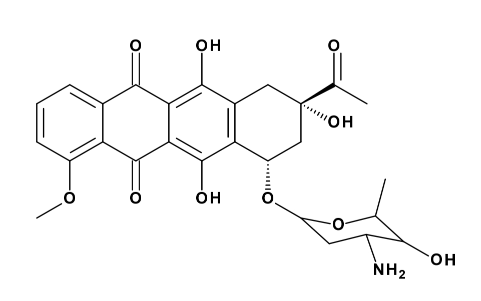 <p>ANTRACYKLINY</p>
