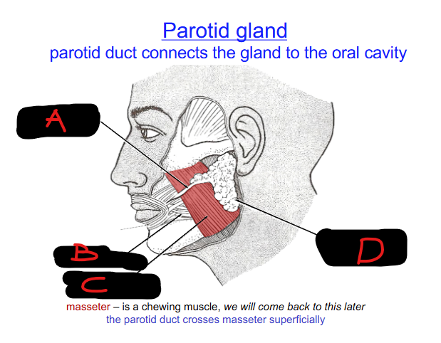 <p>Define C</p>