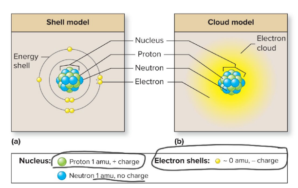 <p>Electrons</p>