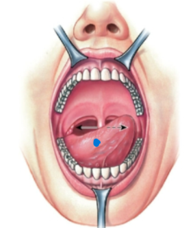 knowt flashcard image