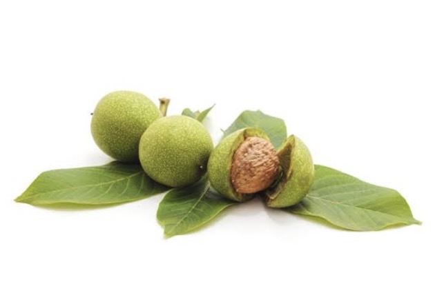 <p>Fresh walnut</p>