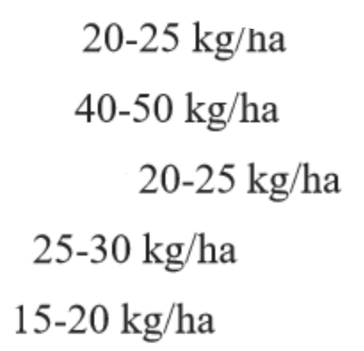 <p>THEIR SEED RATE</p>