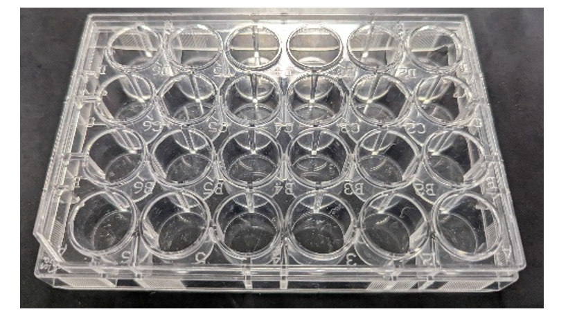 <p>What is this?</p>