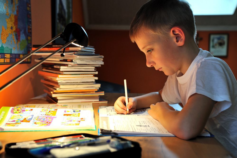 <p>do homework</p>