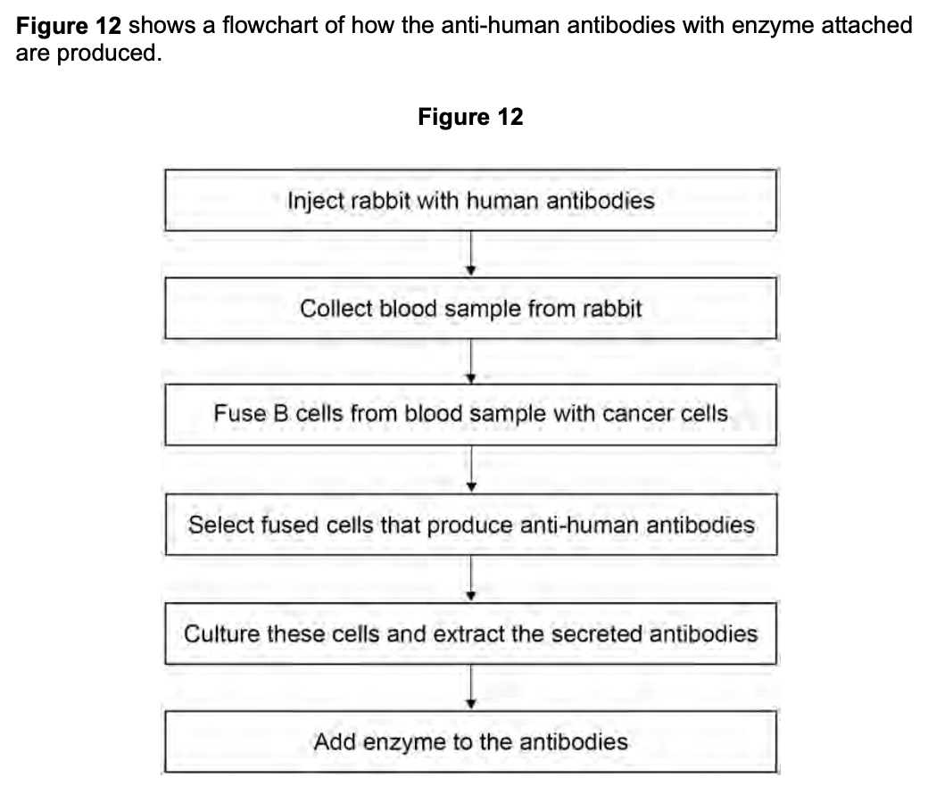 <p>evaluate the ethics of the production process shown (1)</p>