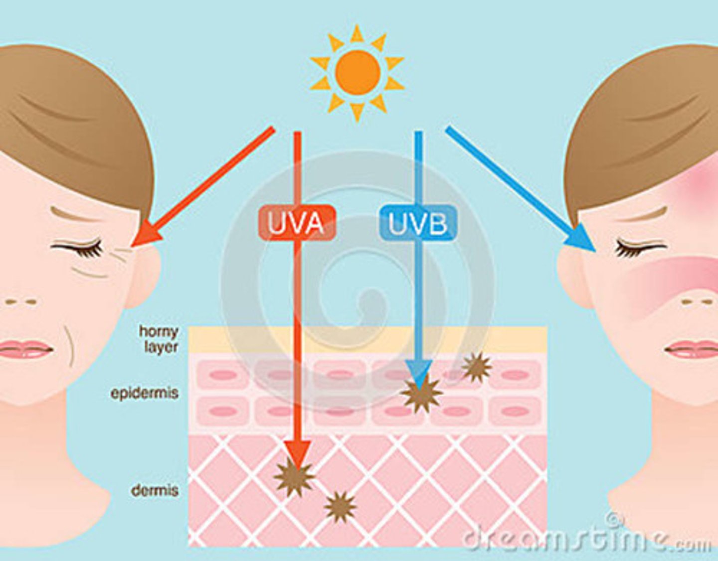 <p>aging rays, penetrate to dermis destroying collagen and elastin</p>
