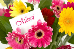 <p>thanks</p>