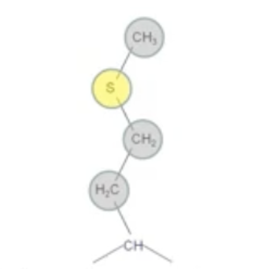 <p>M<br>Non-polar, Thioether <br>Can be air oxidised to sulfoxide</p>