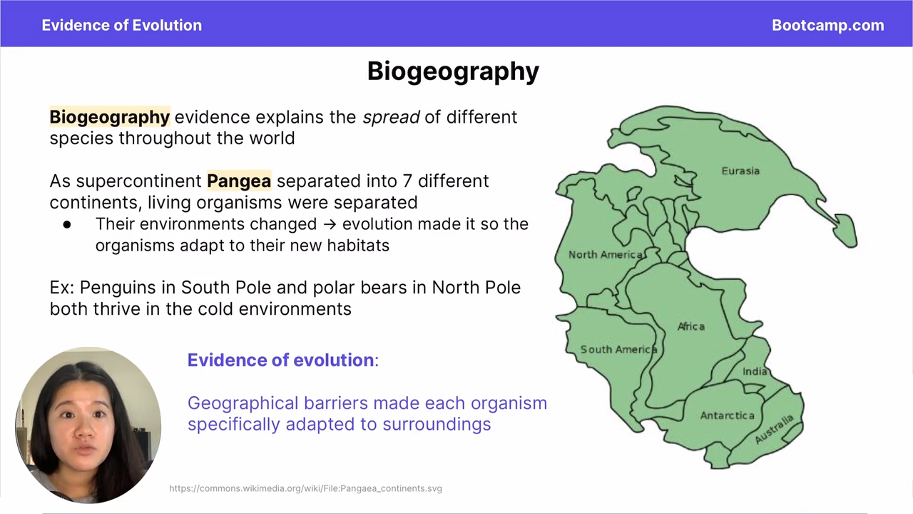<p>Biogeography</p>