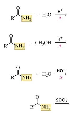 <p>Reactions of amides</p>