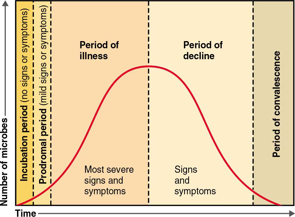 <p>Signs/symptoms subside</p>
