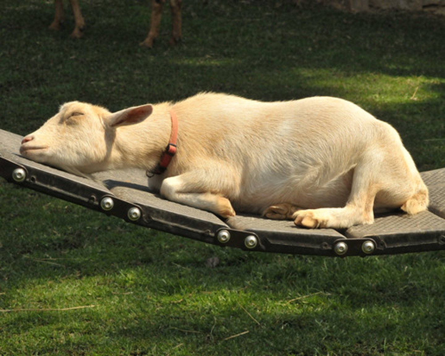 <p>to be lazy, I am lazy</p>