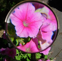 <p>to make larger</p>