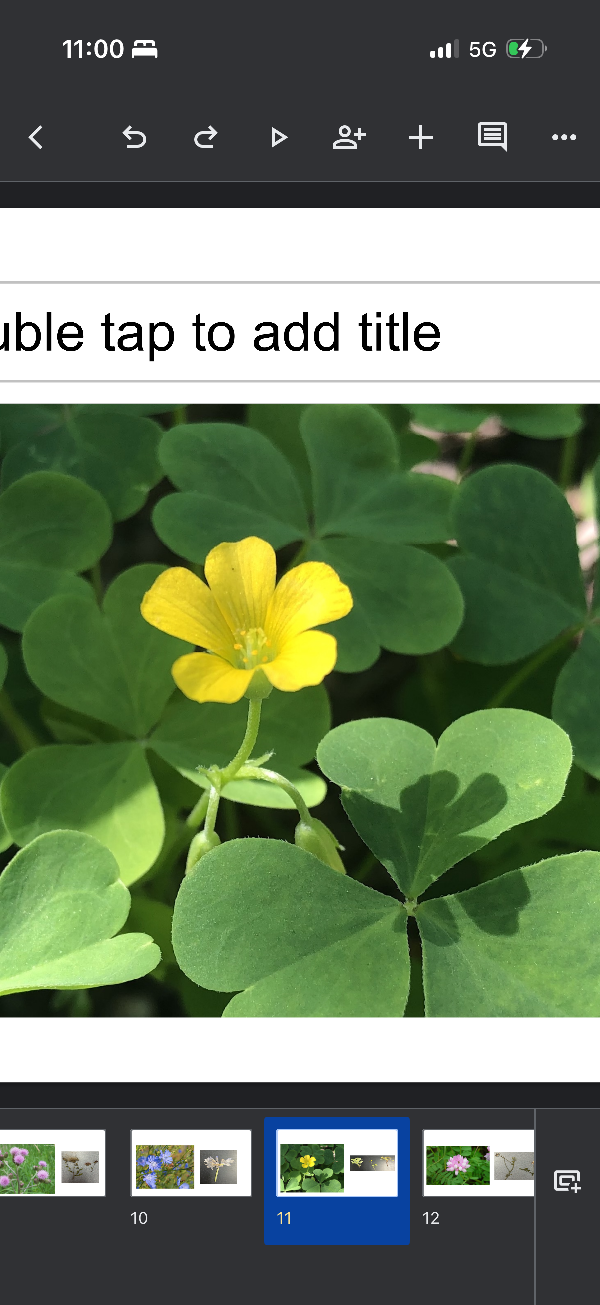 knowt flashcard image
