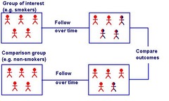 <p>Participants randomly allocated to minimize bias in studies.</p>