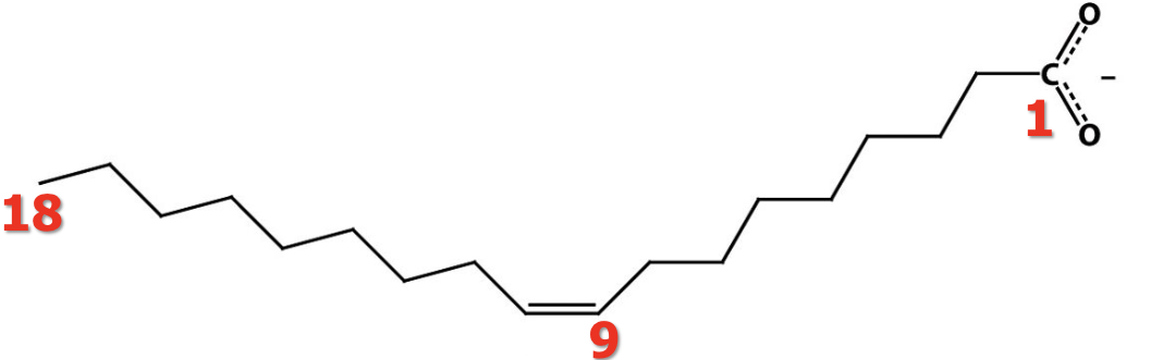 <p>Is this cis or trans configuration?</p>
