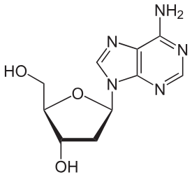 <p>What is a nucleoside analog? What are they used for?</p>