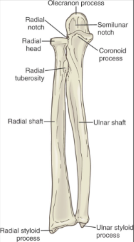 <p></p><p></p><p></p>