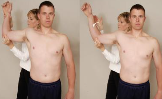 <ul><li><p><span>PURPOSE: To test the teres minor and infraspinatus. Also known as Infraspinatus “Spring Back” Test.</span></p></li><li><p><span>DESCRIPTION: The patient is seated or in standing position with the arm by the side and the elbow flexed to 90°. The examiner passively abducts the arm to 90° in the scapular plane, laterally rotates the shoulder to end range and asks the patient to hold it</span></p></li><li><p><span>RESULT: For a positive test, the patient cannot hold the position and the hand springs back anteriorly toward midline, indicating infraspinatus and teres minor cannot hold the position due to weakness or<br>pain</span></p></li></ul><p></p>