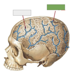 <p>This is the</p>