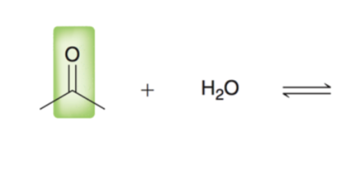 <p>ketone/aldehyde + water</p>