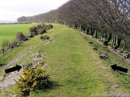 <p>an embankment or slope, often covered with vegetation, that supports a path or road. </p>