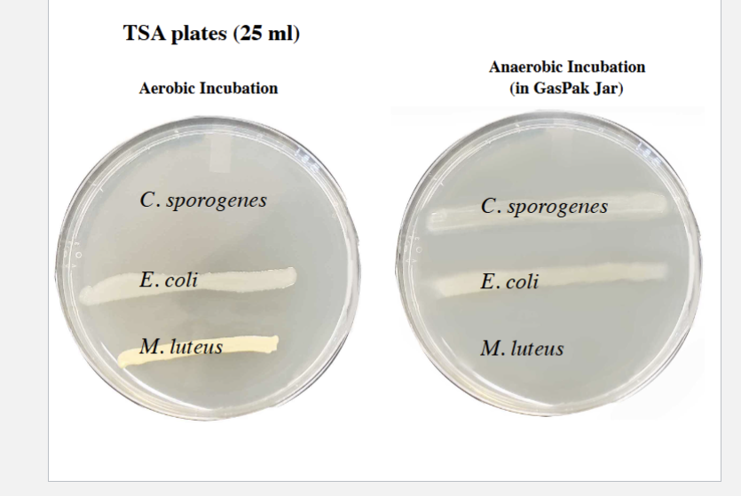 <p>LOOK AND KNOW, it goes with other stuff</p><p></p>