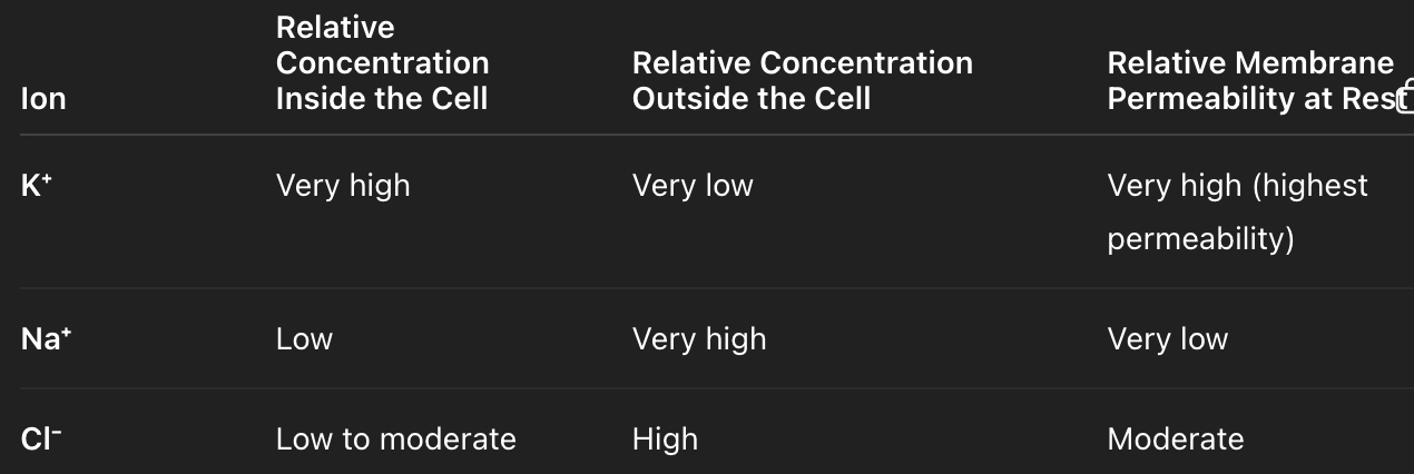 <p>-70mV → excess positive ions outside of membrane</p><ul><li><p>more Na<sup>+</sup> and Cl<sup>-</sup> outside of cell</p></li><li><p>more K<sup>+</sup> inside of cell</p></li></ul><p><strong>Na<sup>+</sup>/K<sup>+</sup> pump</strong>: 3 Na<sup>+</sup> out, 2K<sup>+ </sup>in</p><p><strong>K<sup>+</sup> leaky channel</strong>: move K<sup>+</sup> out of cell down its gradient</p>
