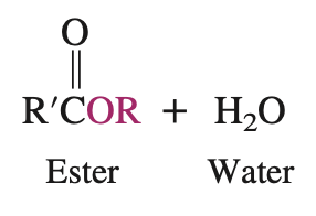 <ul><li><p>condensation reaction (losing water)</p></li></ul><p></p>