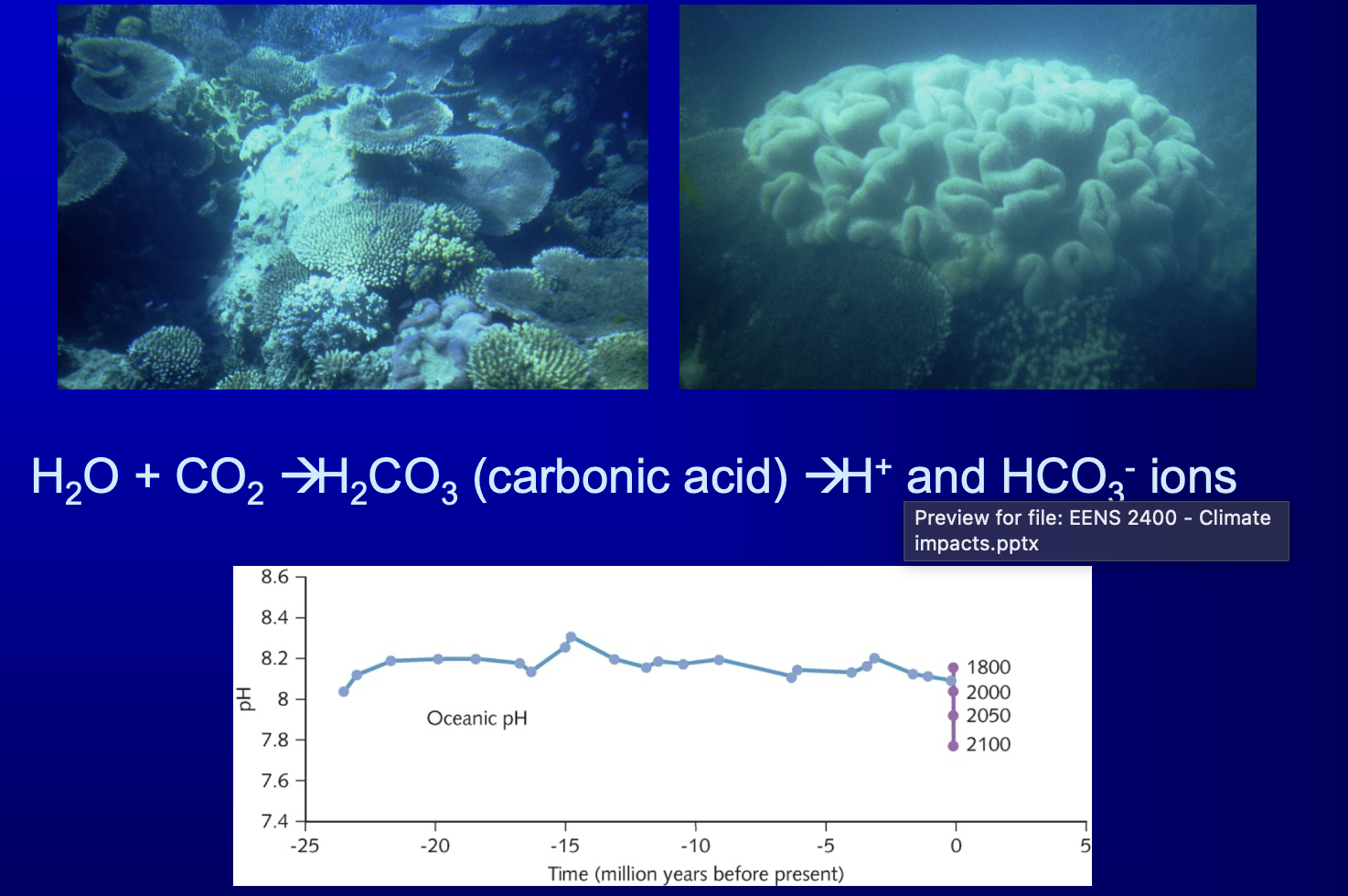 <p>ocean acidification</p>