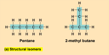 <p>Have <strong>different covalent arrangements</strong> of their atoms (straight vs. branched)</p>