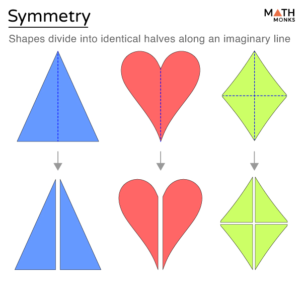 <p>the tendency to perceive forms that make up mirror images</p>