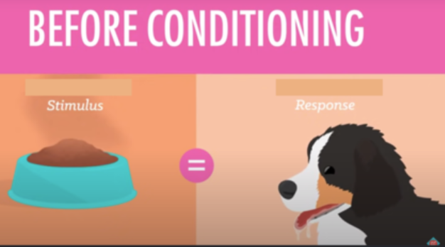 <p>unconditioned stimulus (UCS)</p>