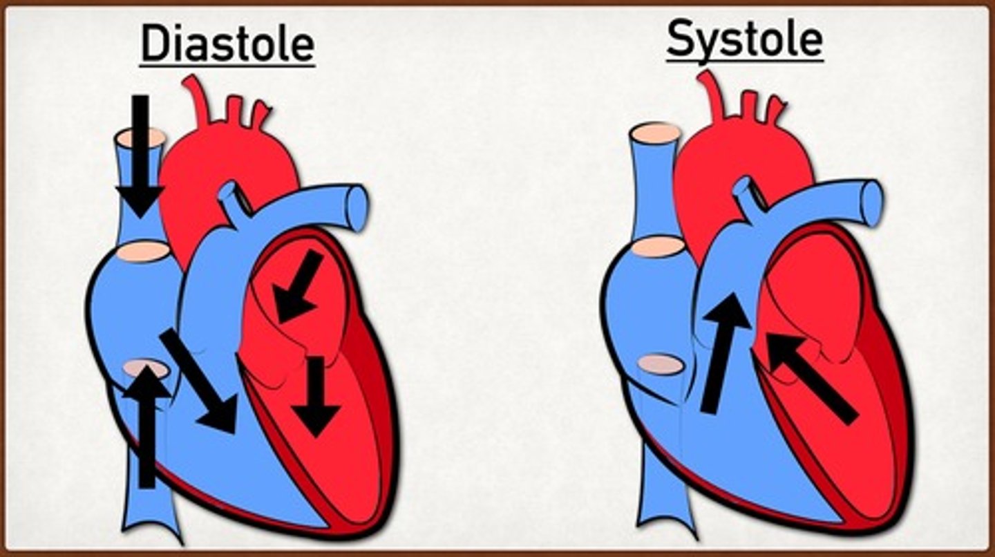 <p>Systole/systolic: contraction of the heart -"lub" sound</p><p>Diastole/diastolic: relaxation of the heart -"dub" sound</p>