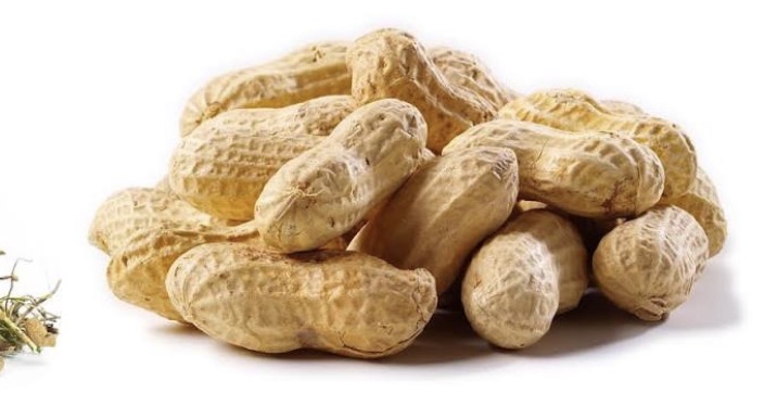 <p>Fresh peanut</p>