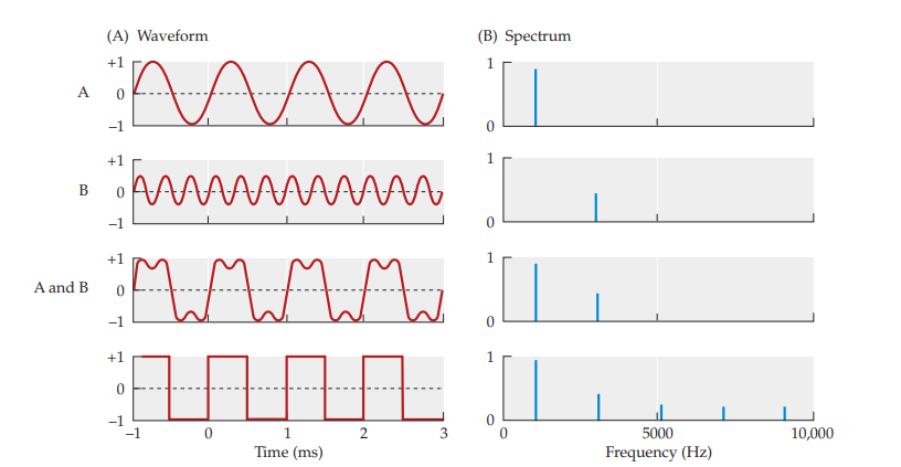 <p>a representation of the relative energy (intensity) present at each frequency</p>