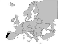 <p>Europe</p>