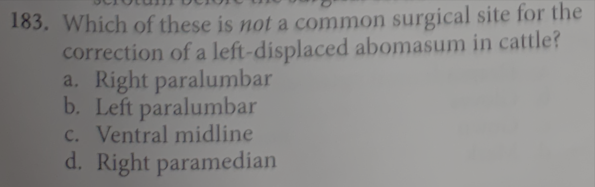 term image