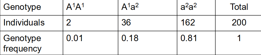<p><span style="background-color: transparent;">Take the frequency of homozygotes and half the frequency of heterozygotes </span></p><p><span style="background-color: transparent;">Add the frequency of homozygote plus frequency of heterozygote/2</span></p><p><span style="background-color: transparent;">A=A1A1+A1a2/2 a=a2a2+A1a2/2</span></p><p><span style="background-color: transparent;">=0.81+0.18/2 =0.01+0.18/2</span></p><p><span style="background-color: transparent;">=0.01+0.09 =0.81+0.09</span></p><p><span style="background-color: transparent;">=0.9 =0.1</span></p>