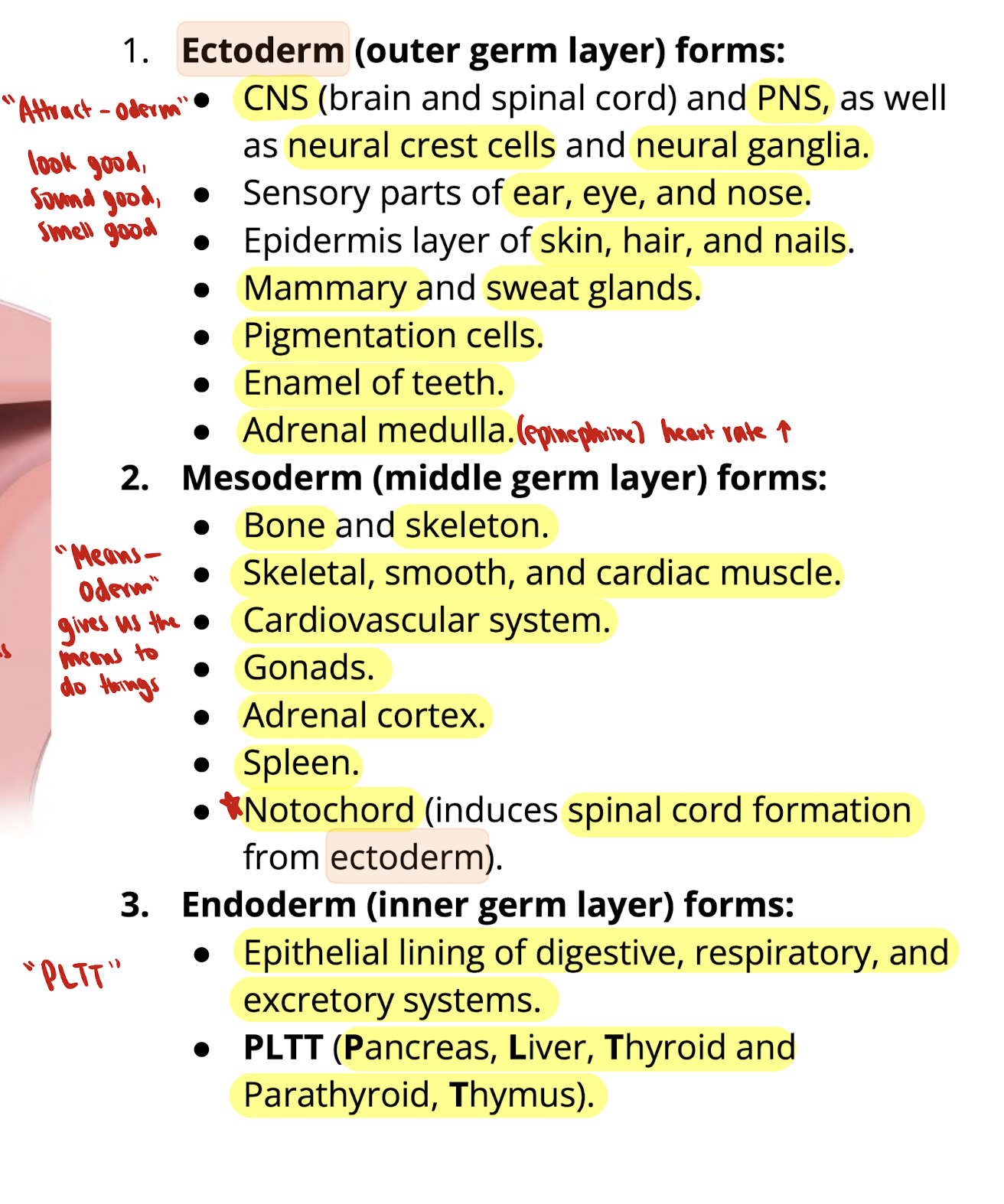 knowt flashcard image