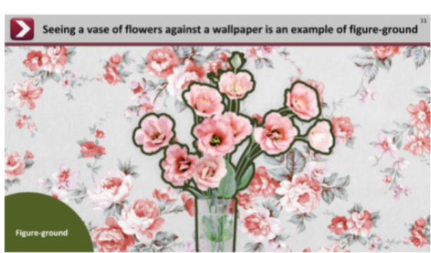 <p>The ability to distinguish an object from its background in a visual scene </p>